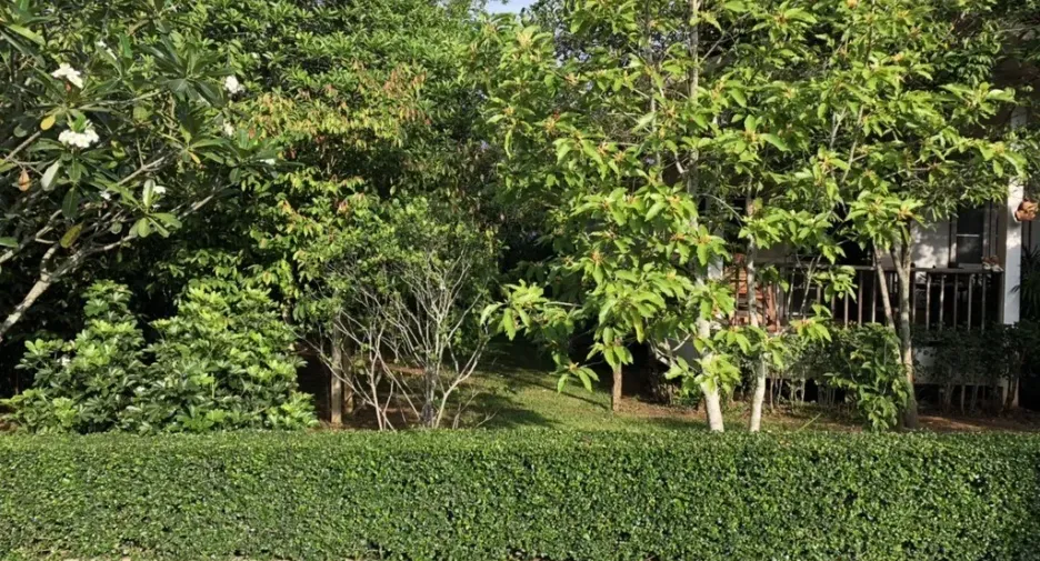Haus zum Kauf mit 2 Zimmer in Pak Chong, Nakhon Ratchasima