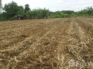 For sale land in Mae Chan, Chiang Rai