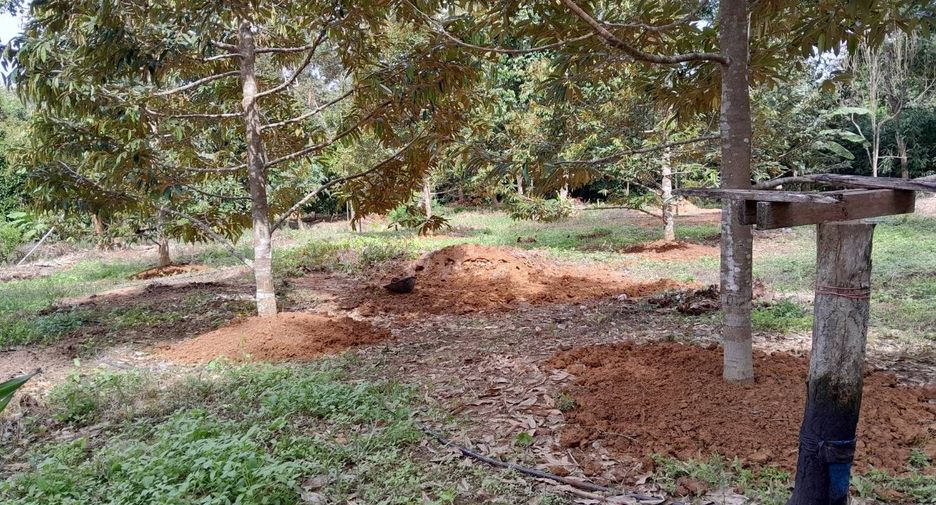 For sale land in Pa Phayom, Phatthalung