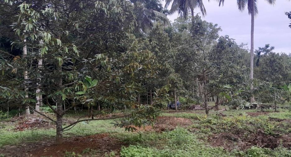 For sale land in Pa Phayom, Phatthalung