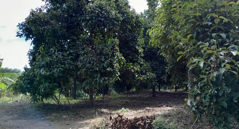 For sale land in Pa Phayom, Phatthalung