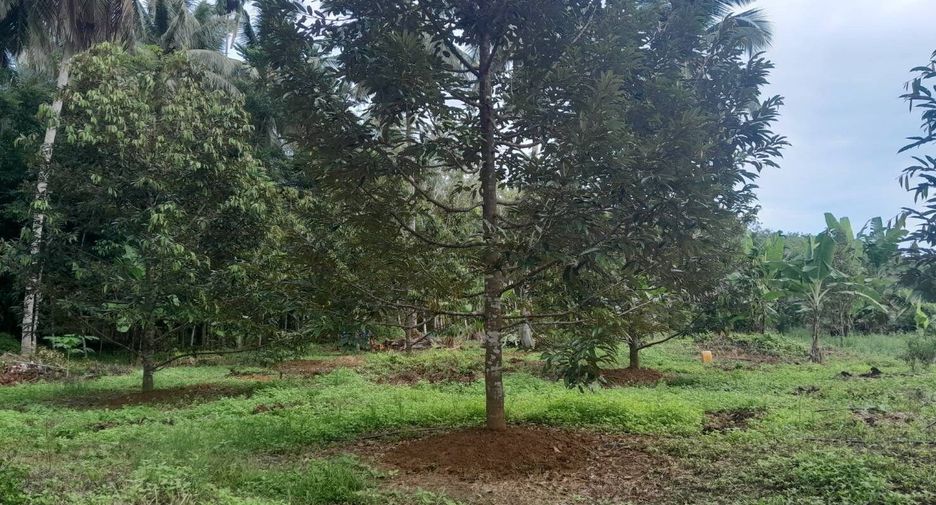For sale land in Pa Phayom, Phatthalung
