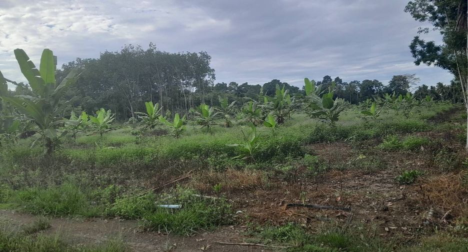 For sale land in Pa Phayom, Phatthalung