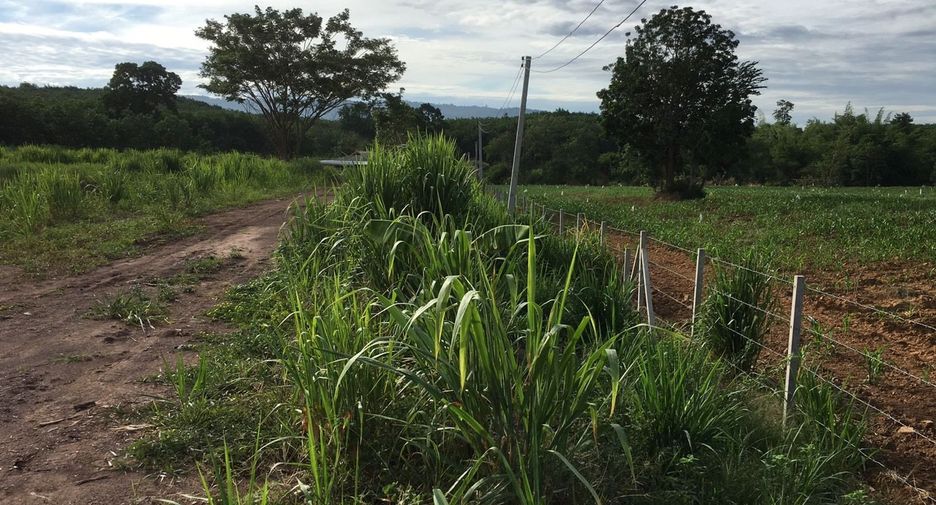 Terreno en venta en Wang Nam Khiao, Nakhon Ratchasima