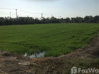 For sale land in Song Phi Nong, Suphan Buri