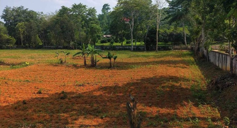 For sale land in Mae Sai, Chiang Rai