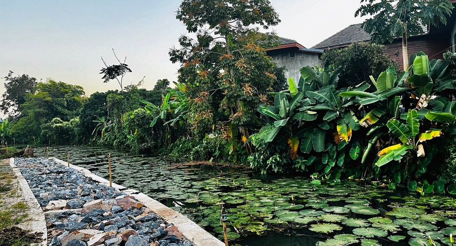 Haus zum Kauf mit 4 Zimmer in Mueang Chiang Rai, Chiang Rai