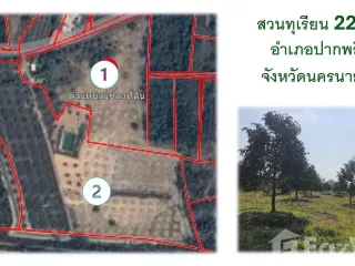 ขาย ที่ดิน ใน ปากพลี, นครนายก