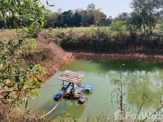 ขาย ที่ดิน ใน ปากพลี, นครนายก