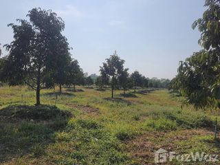 ขาย ที่ดิน ใน ปากพลี, นครนายก