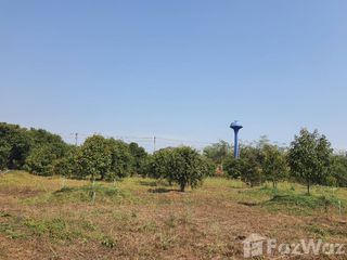 ขาย ที่ดิน ใน ปากพลี, นครนายก