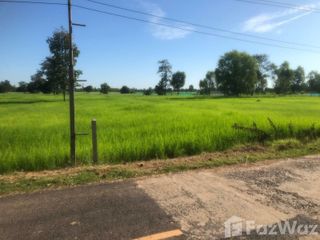 ขาย ที่ดิน ใน เมืองสุรินทร์, สุรินทร์