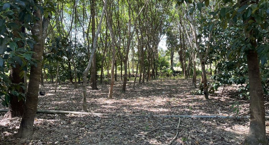 Terreno en venta en Tha Mai, Chanthaburi