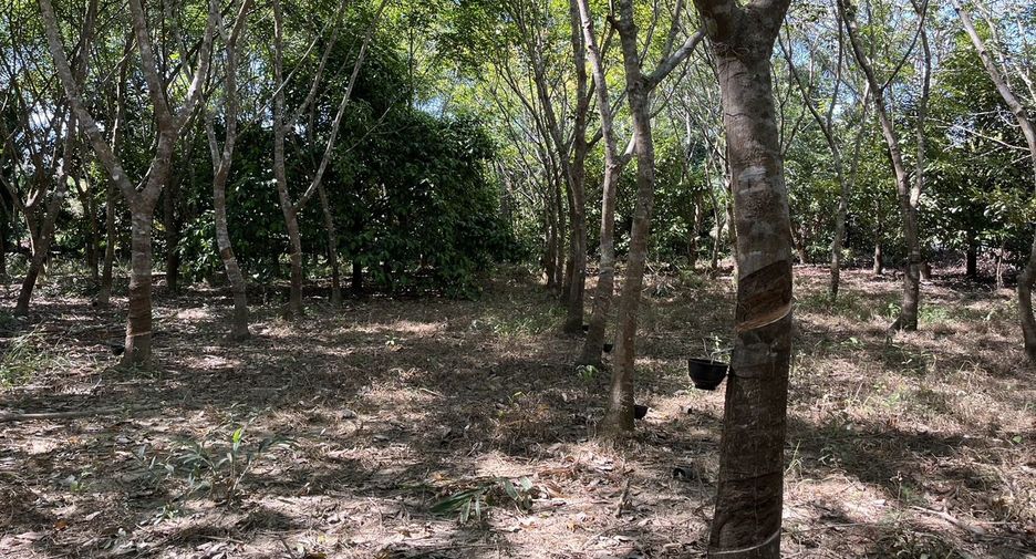 Terreno en venta en Tha Mai, Chanthaburi