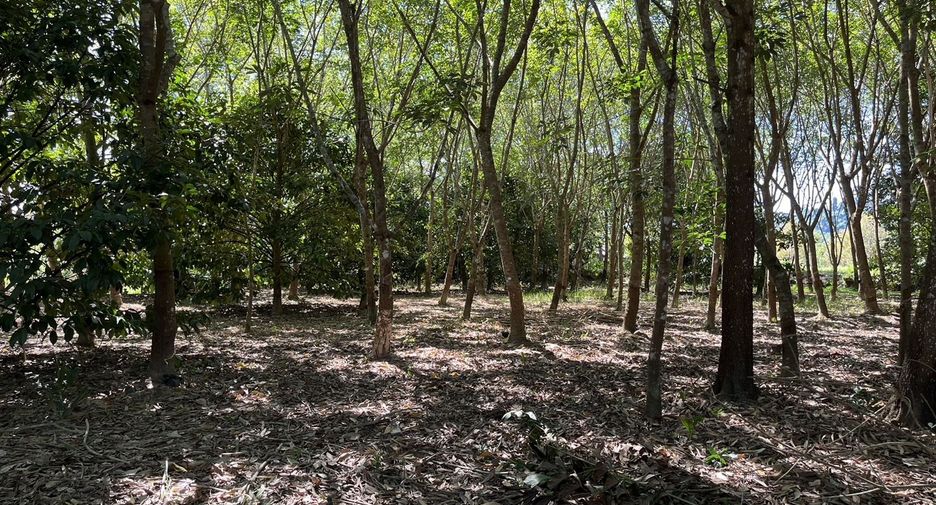 Terreno en venta en Tha Mai, Chanthaburi