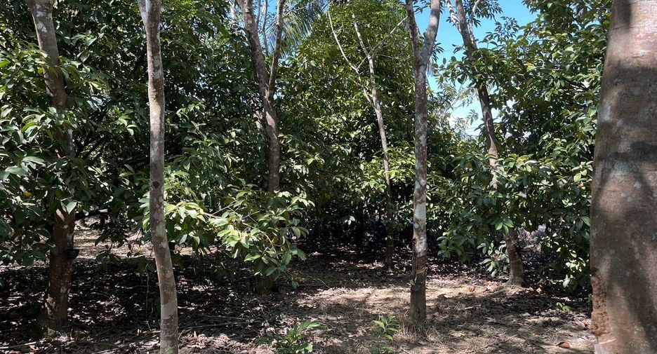 Terreno en venta en Tha Mai, Chanthaburi