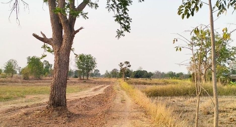 For sale land in Kaeng Khro, Chaiyaphum