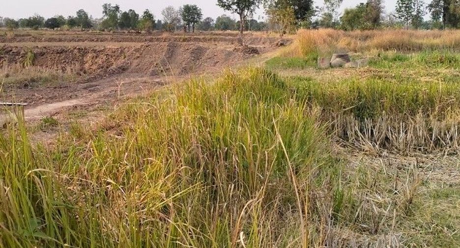For sale land in Kaeng Khro, Chaiyaphum