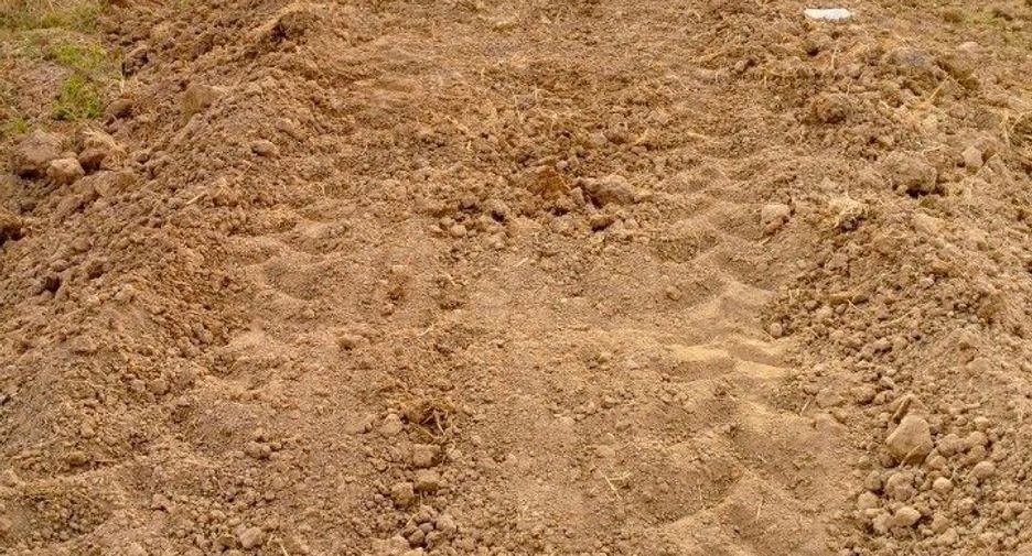 For sale land in Kaeng Khro, Chaiyaphum