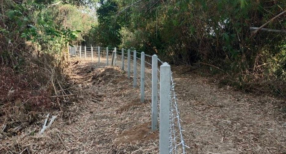 For sale land in Kaeng Khro, Chaiyaphum