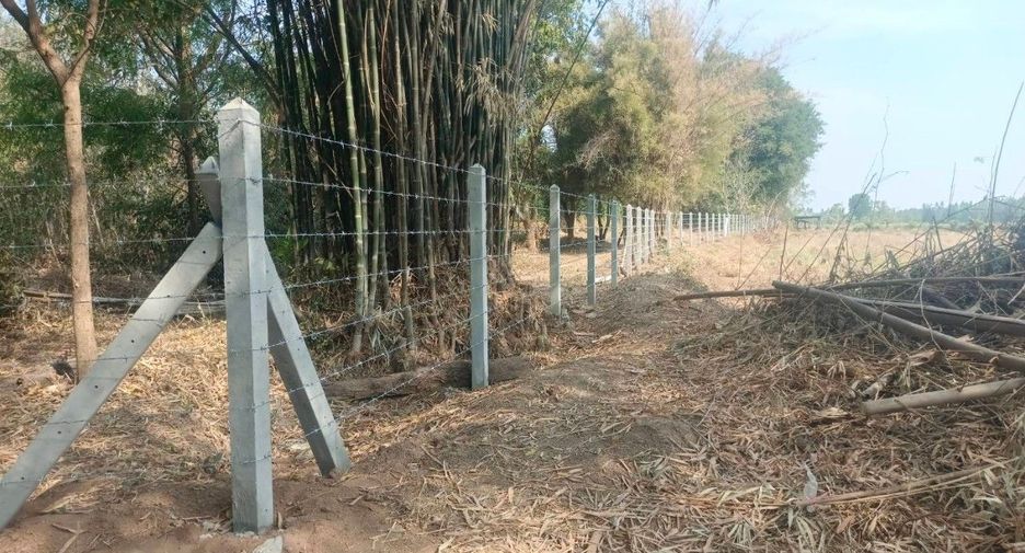 For sale land in Kaeng Khro, Chaiyaphum