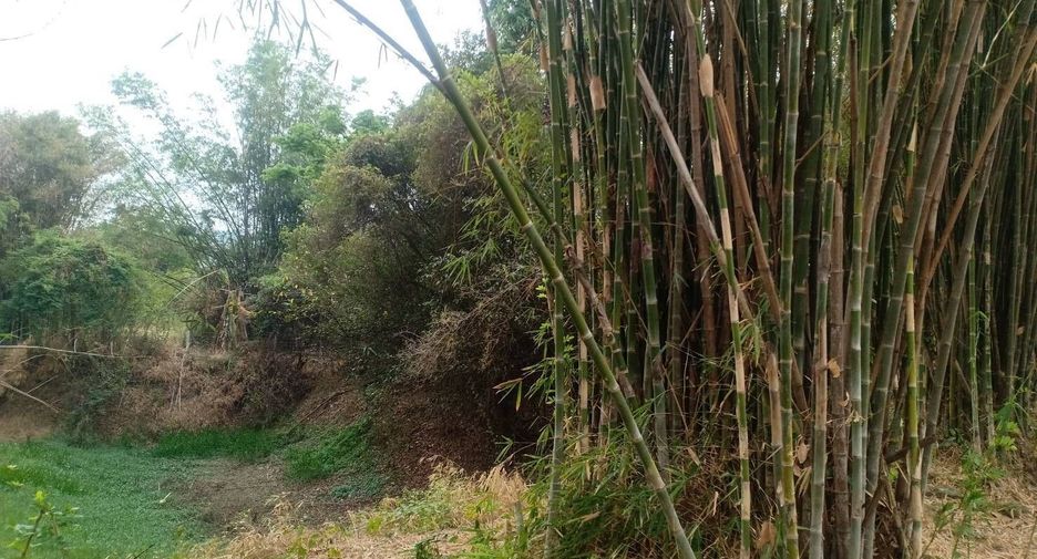 For sale land in Kaeng Khro, Chaiyaphum