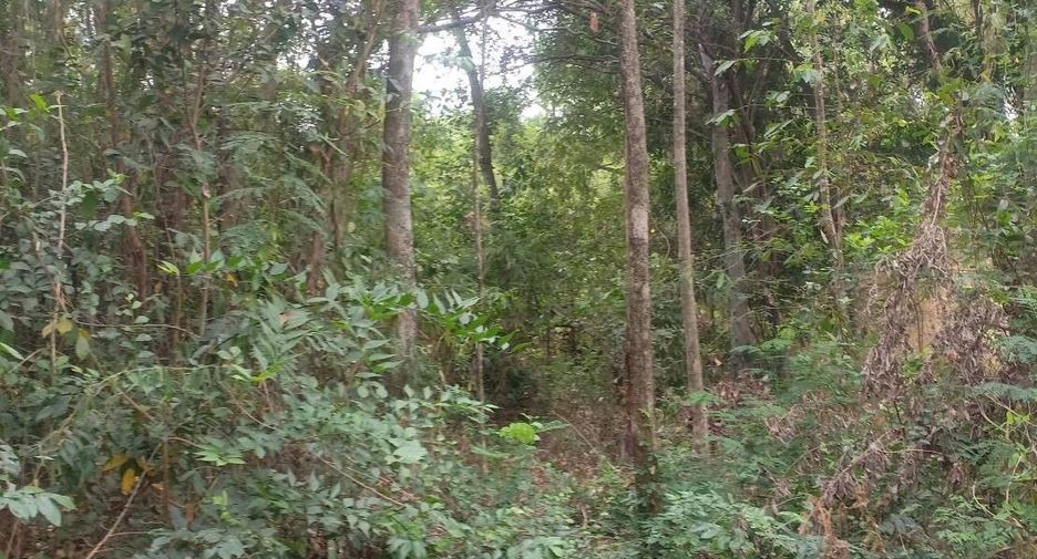 For sale land in Kaeng Khro, Chaiyaphum