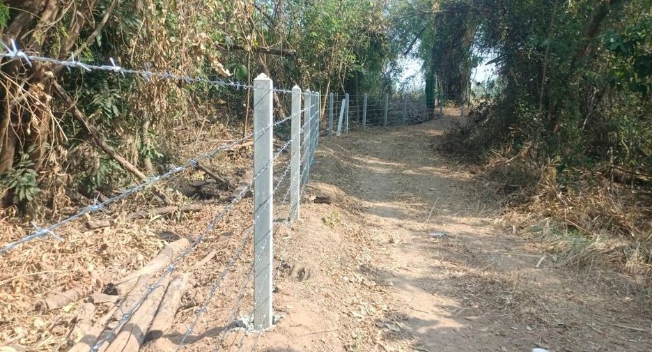 For sale land in Kaeng Khro, Chaiyaphum