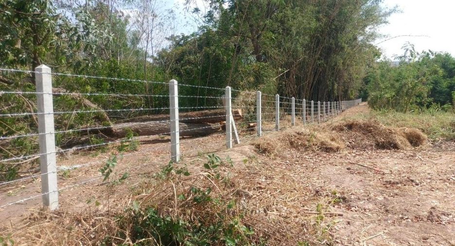 For sale land in Kaeng Khro, Chaiyaphum