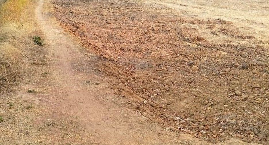 For sale land in Kaeng Khro, Chaiyaphum