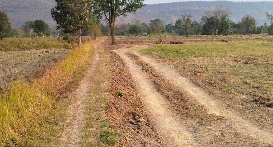For sale land in Kaeng Khro, Chaiyaphum