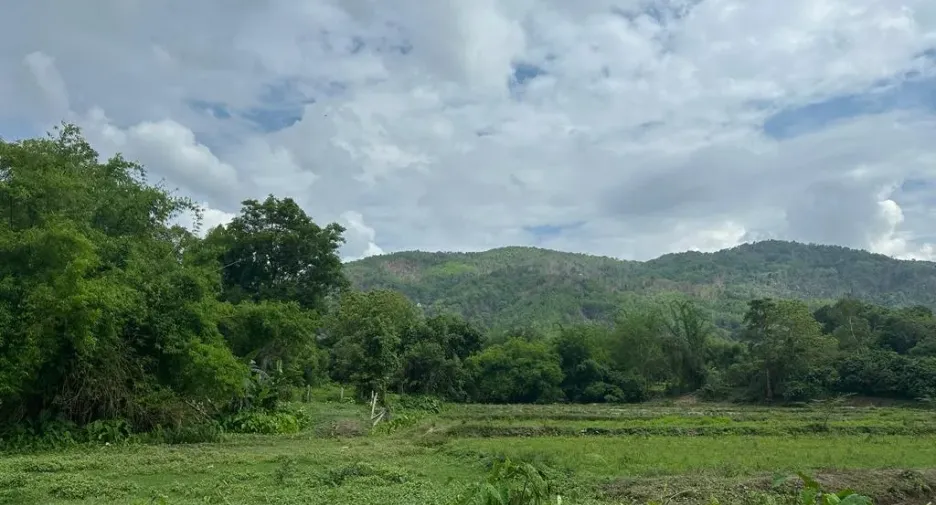 Terreno en venta en Mae Chan, Chiang Rai