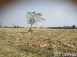 For sale land in Nong Muang, Lopburi