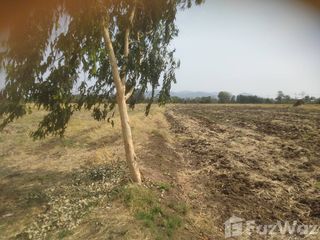 For sale land in Nong Muang, Lopburi