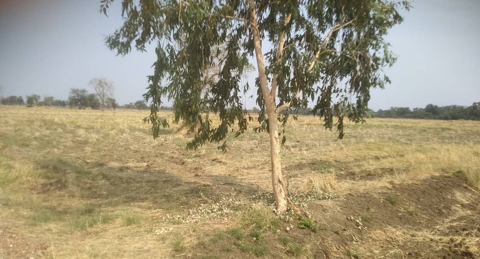 For sale land in Nong Muang, Lopburi