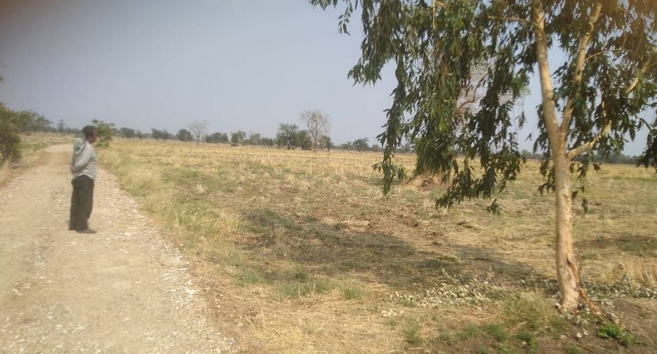 For sale land in Nong Muang, Lopburi