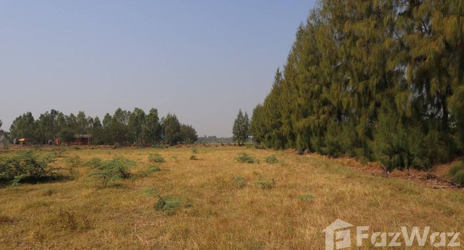 出售 土地 在 Bang Pahan, Phra Nakhon Si Ayutthaya