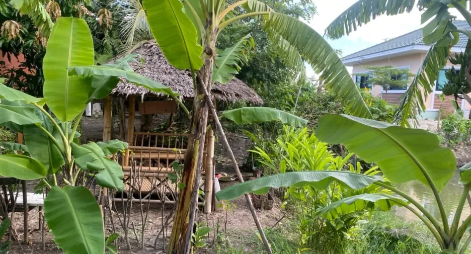 Продажа 6 спальни дом в Lat Lum Kaeo, Патумтани