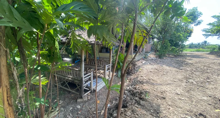 Продажа 6 спальни дом в Lat Lum Kaeo, Патумтани