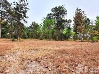 For sale land in Kuchinarai, Kalasin