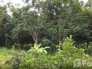 出售 土地 在 Fang, Chiang Mai
