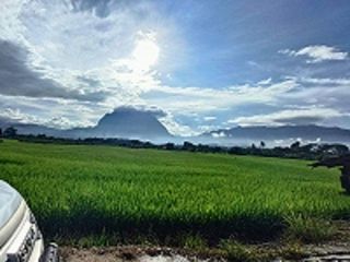 For sale land in Chiang Dao, Chiang Mai
