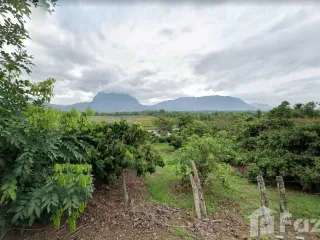 Terreno en venta en Chiang Dao, Chiang Mai