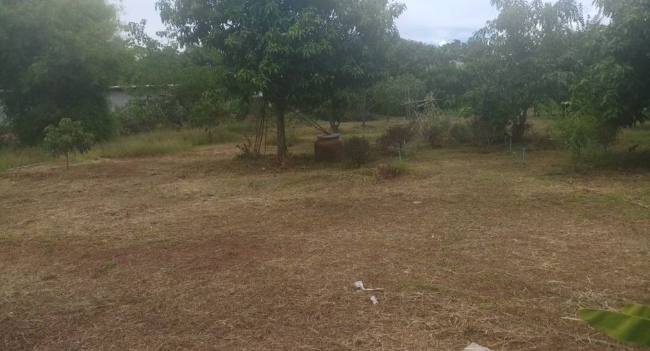 For sale land in Dan Chang, Suphan Buri