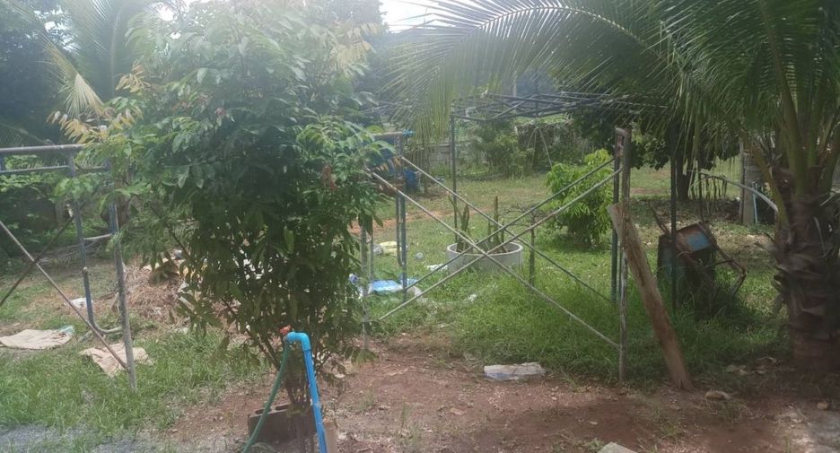 For sale land in Dan Chang, Suphan Buri