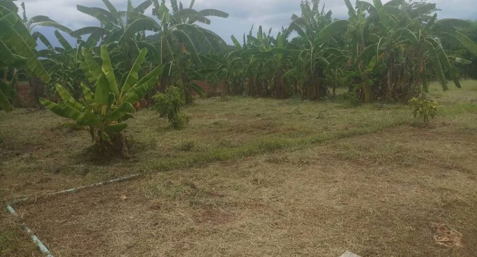 For sale land in Dan Chang, Suphan Buri