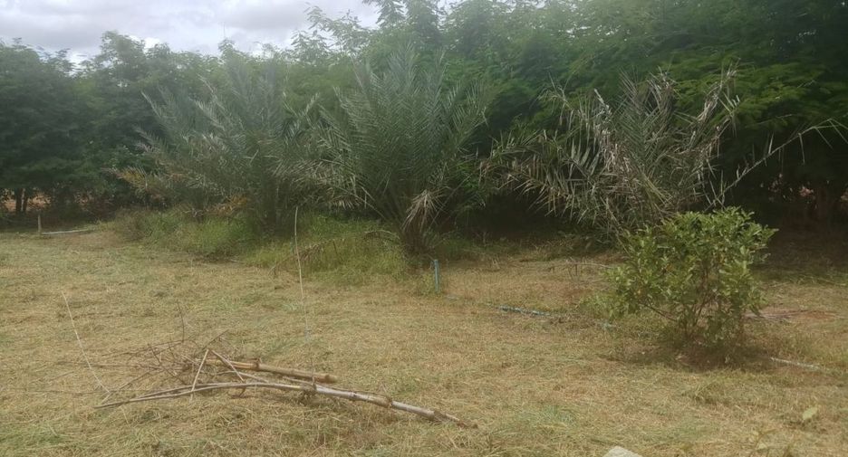 For sale land in Dan Chang, Suphan Buri