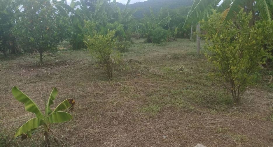 For sale land in Dan Chang, Suphan Buri