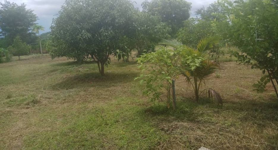 For sale land in Dan Chang, Suphan Buri