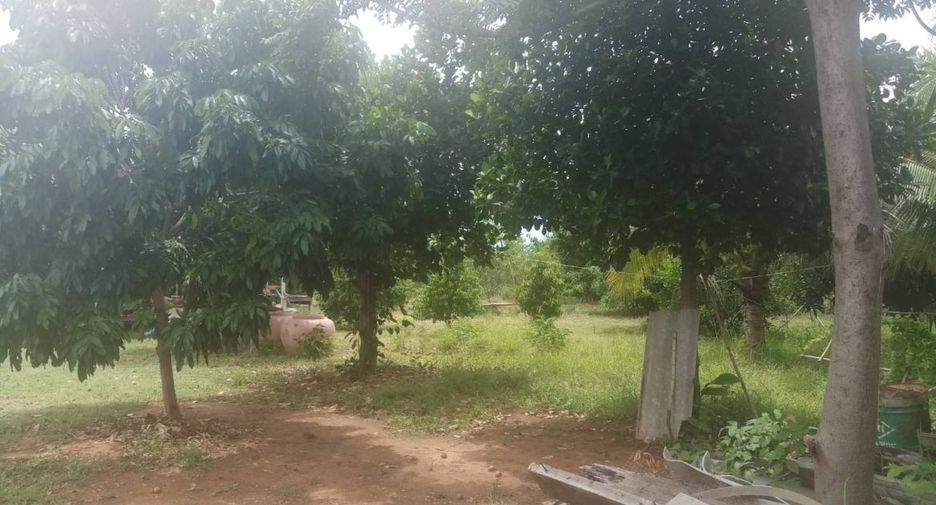 For sale land in Dan Chang, Suphan Buri